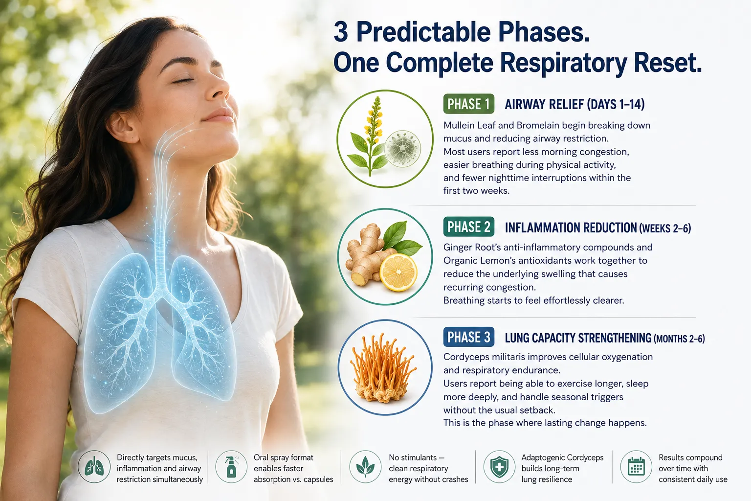 Infographic showing Breathizen's 3 predictable phases: Airway Relief, Inflammation Reduction, and Lung Capacity Strengthening